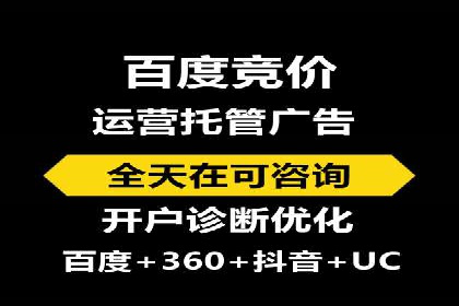 XX行业竞价广告的投放策略与效果分析